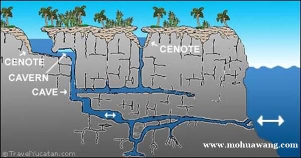 图鲁姆地下暗河 Cenote洞潜介绍 图鲁姆地下暗河 Cenote洞潜介绍