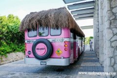 坎昆Xcaret大公园区粉红色的shuttle bus交通